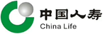 中国人寿：全行级报表系统